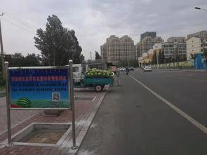 乌海市吃瓜,吃瓜也能吃出风情万种