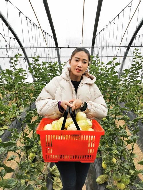 赤峰本地吃瓜,本地特色美食大揭秘