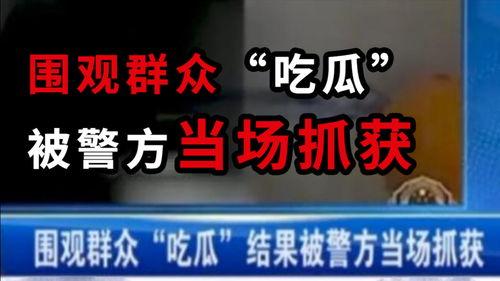 最新的吃瓜消息新闻,神秘事件背后真相揭晓