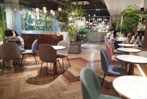 佛山打卡网红喝东西,品味潮流饮品新风尚