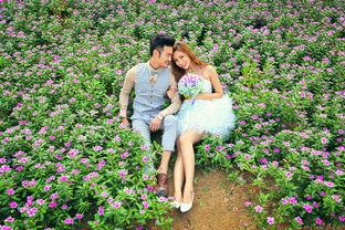 花物语在线观看,穿越时空的花语传奇