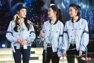 奔跑吧明星有哪些,激情四溢的竞技盛宴