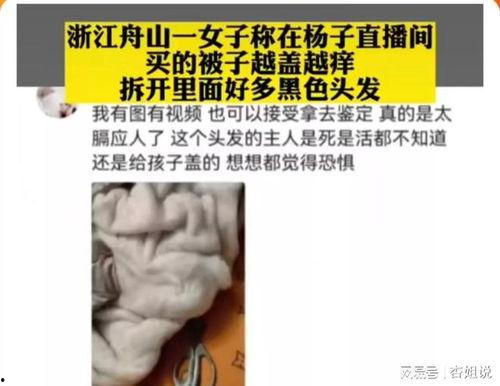 福利明星杨子,福利明星的慈善之路与公益情怀