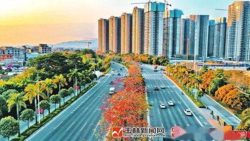 广西玉林头条,聚焦广西玉林最新动态与热点事件