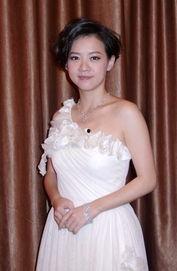 明星星星是谁,闪耀星河的璀璨之星