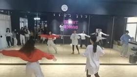 网红蔡老师舞蹈课视频,网红舞步教学，轻松学会热门舞步